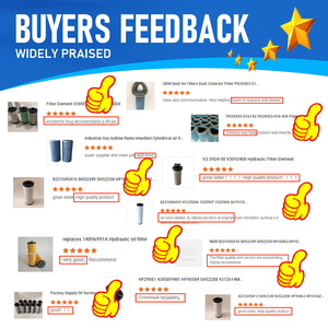 Elemen filter <span class=keywords><strong>pilot</strong></span> BH-9256 7363107 untuk elemen filter <span class=keywords><strong>pilot</strong></span> hidrolik ekskavator - Product Image 5