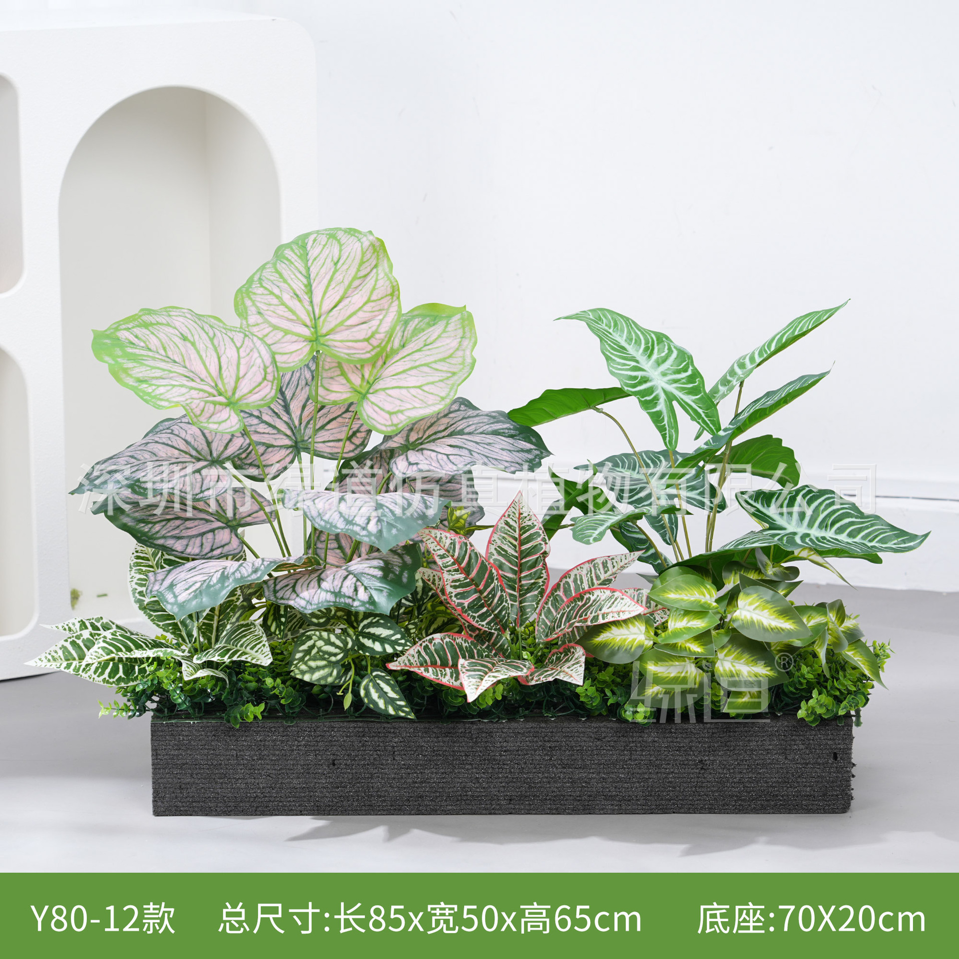 hc-Y80-12 convient aux jardinières de 80 cm
