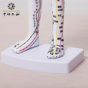 टीसेमी एक्यूपॉइंट मॉडल एक्यूपंक्चर आकृति चीनी pvc दवा लेटरिंग पुरुष और महिला मानव शरीर मॉडल - Product Image 4