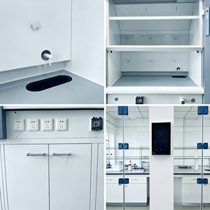 Campana Extractora de Humos de Laboratorio con Velocidad de Viento Ajustable, Extractor de Humos Resistente a Ácidos para Laboratorio - Product Image 4