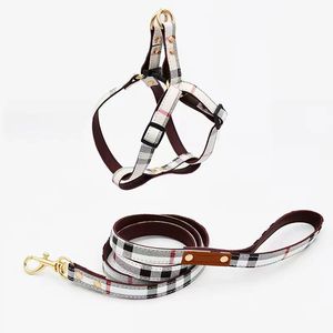 Modische Marken-Hundeleine mit Brust- und Rückengurt, Halsband und Halsschmuck - Product Image 5