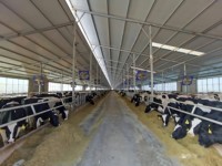 2025 estructura de acero de diseño moderno edificio de granja prefabricado granero de vaca para ovejas/ganado/lechería/casa de cabra cobertizos de granja estructura de acero