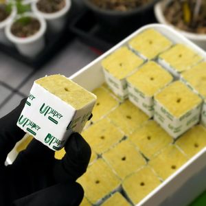 UPuper Échantillon gratuit Plantation d'intérieur hydroponique Laine minérale Cultiver 6x6 Cubes de laine de roche - Product Image 2