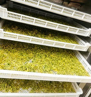 Elektrische voedseldroger met 64 trays, commerciële voedseldroger van roestvrij staal, fruit- en groentedroger, voedseldrogermachine