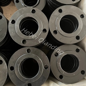 Thép Carbon <span class=keywords><strong>ANSI</strong></span> b16.5 <span class=keywords><strong>class300</strong></span> dn300 mặt bích phẳng FL PL mặt bích - Product Image 2