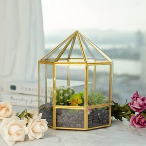 <span class=keywords><strong>Terrarium</strong></span> 3d — décoration de jardin féerique Miniature, écran de forme ronde, <span class=keywords><strong>Terrarium</strong></span> géométrique succulente, en verre doré avec porte - Product Image 5