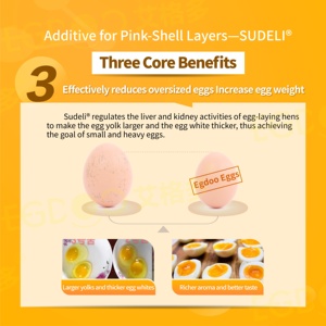 Veja la Diferencia en la Calidad de las Huevos con Nuestros Poderosos Aditivos para Alimento de Pollo EGDOO al 0.2% con <span class=keywords><strong>Amino</strong></span>ácidos de Grado Alimenticio para Gallinas Ponedoras - Product Image 6