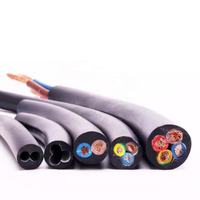 Kabel Tembaga Berinti Ganda H07RN-F Industrial 2/3/4/5x2.5mm dengan Isolasi EPR, Konduktor Berlapis Kawat, dan Pelindung Karet 300/500V Bersertifikasi CCC CE IEC