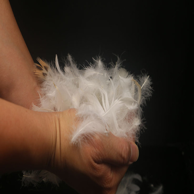 China Suppliers White Duck Goose Feather