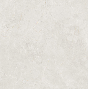 Carreaux de sol de haute qualité 1200*1200mm, finition mate, nouvelle collection, carreaux en porcelaine rustique émaillée R11, carreaux muraux minimalistes - Product Image 2