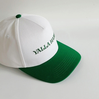 Gorra de Béisbol de 6 Paneles Personalizada de Alta Calidad, Gorra de Algodón para Exteriores con Logotipo Bordado, Estilo Dobby, Lazos Bordados a Mano, Características Comunes de la Tela