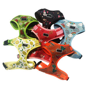 Conjunto de arnés de neopreno para perro, accesorios de lujo, Collar, correa, productos para mascotas de diseño personalizado, respetuosos con el medio ambiente - Product Image 2