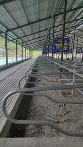 Divisorio per Box Bovini Zincato a Caldo, Separatore per Cubicoli, Attrezzatura per Allevamento di Bestiame - Product Image 4