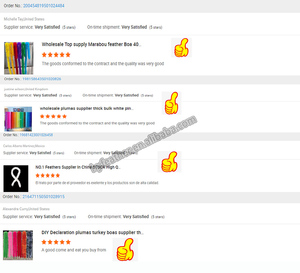 Écharpe rose Turquie Marabout Plume Boa pour Femmes Maison Fête Xmas Décor Artisanat Vêtements Costume Danse Robe Cosplay Accecssoy - Product Image 6