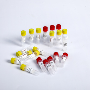 Construction de la bibliothèque NGS DNA PCR Multiplex Oligos 2 pour plate-forme Illumina K002-B 192 rxns - Product Image 4