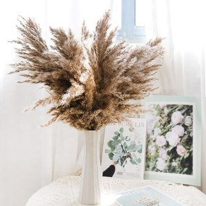 Herbes de la Pampa <span class=keywords><strong>Séchées</strong></span> et Colorées, Petits Roseaux Immortels pour Décoration Maison, Mariage, Noël, DIY - Product Image 2