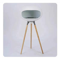 Mini table manuelle moderne brûleur bio-éthanol 304 # en acier inoxydable insert cheminée intérieure télécommande pour villa salon
