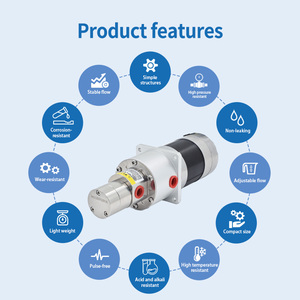 Pompe à <span class=keywords><strong>eau</strong></span> et à huile basse pression sans balais pour l'industrie minière |   Joint d'étanchéité en céramique à entraînement magnétique |   Construction en acier inoxydable 316L | - Product Image 6
