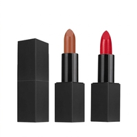 Rouge à lèvres sur mesure hydratant longue tenue, imperméable, anti-décoloration, couleur uniforme pour maquillage de voyage en extérieur