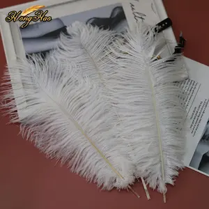 Оптовая продажа натуральных 15-75 см белых страусиных перьев пушистых перьев окрашенных узорчатых карнавальных костюмов для свадебных мероприятий