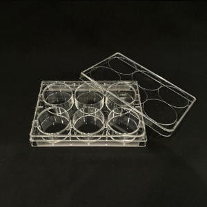 Steril Biyoteknoloji IVD Mikro Test Plakası Hücre ve Doku Kabı 48/96 Kuyulu Laboratuvar Hücre Kültürü Kuyu Plakası - Product Image 3