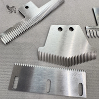 Lames industrielles non standard personnalisées en usine Couteau à longue bande Couteau denté