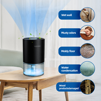 Mini déshumidificateur électrique portable pour la maison et la voiture, réservoir d'eau de 700 ml, technologie de condensation semi-conductrice, rechargeable, écran LED