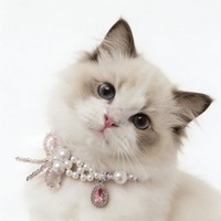 Colliers en perles incrustées de diamants pour animaux de compagnie, en gros, en stock, style chic de célébrité, accessoires à motif géométrique pour chats et chiens, tailles plus grandes