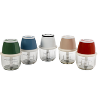 Mini hachoir sans fil à piles de 300 ml pour la cuisine domestique, faible bruit et fonctionnement sûr