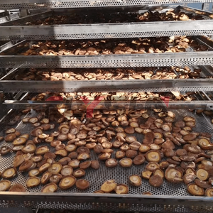 Automatic Mushroom <b>Drying</b> Oven Oyster Mushroom <b>Drying</b> <b>Equipment</b> Fungi Vegetable Mushroom Dryer - Product Image 3