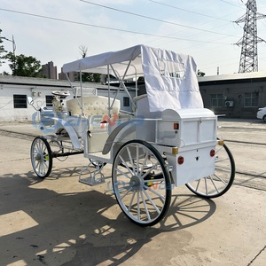 Voiture de tourisme électrique de luxe à quatre roues, simple et blanche, directement de l'usine - Product Image 1