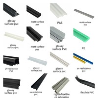 Formes de conception Profilé en polycarbonate PVC/ABS/PC extrudé personnalisé Profilés en plastique extrudé