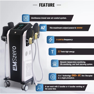 Stimulateur Musculaire <span class=keywords><strong>Emszero</strong></span> RF à 4 Poignées, Machine de Remodelage Corporel RF EM Minceur avec Neo RF et Fonction Plancher Pelvien - Product Image 5