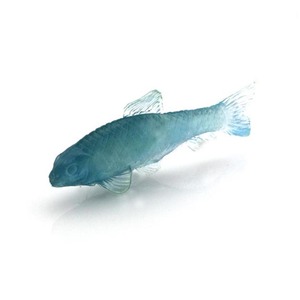<span class=keywords><strong>The</strong></span> selling mini plastic soft rubber toys <span class=keywords><strong>for</strong></span> children - Product Image 6