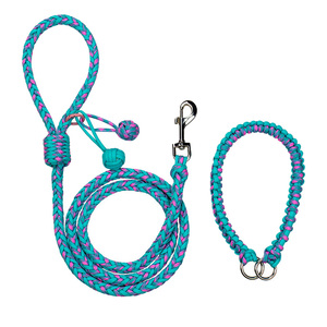High Strength Braided Nylon <b>Dog</b> Collar <b>Leash</b> Set - Product Image 3