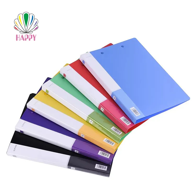 Simple design PP office report A4 paper types of plastic file folder