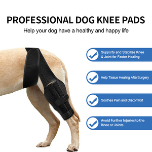 Rodillera protectora ajustable de neopreno <span class=keywords><strong>para</strong></span> <span class=keywords><strong>pierna</strong></span> de perro, venta al por mayor, n. ° - Product Image 4