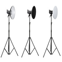 Diffuseur en nid d'abeille de 30 cm/42 cm/55 cm, plat de beauté pour la photographie en studio, réflecteur pour lumières et flash