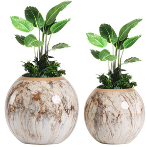 Maceta de Fibra de Vidrio Negra Mate, Moderna y Minimalista, Diseño Cónico Alto para Decoración de Jardín y Hogar Contemporáneo - Product Image 4