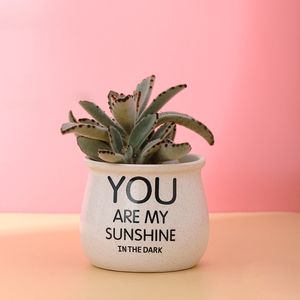 Pots de jardinières succulentes Cactus en céramique, décor de bureau, lettres personnalisées d'intérieur, Pots avec trou - Product Image 4