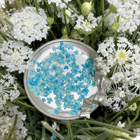 Fleurs séchées pour ongles, décorations colorées pour nail art, modes de réalisation naturels