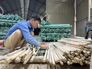 Natural <b>Wooden</b> Garden <b>Stakes</b> for Tree and Plant Support Eucalyptus Acacia Timber Poles - Product Image 4
