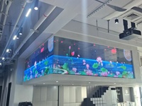 Pantalla LED Transparente Holográfica 3D |   Efecto 3D a simple vista para publicidad en escaparates
