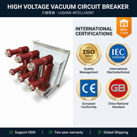 Disjoncteur à vide triphasé VD4/P12.12.25 Vcb 11 kV, type extractible, solutions de commutation haute tension personnalisées pour les postes de transformation