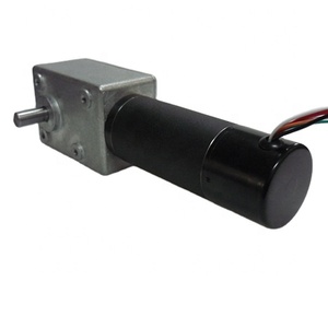 공장 공급 24V 브러시리스 DC 웜 기어 모터 600JSX-42RBL85-D - Product Image 3