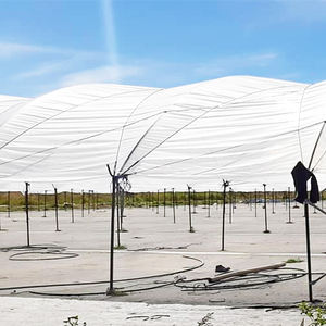 Serre pour bleuets Caterpillar résistante aux intempéries, idéale pour la protection des bleuets en extérieur en Australie - Product Image 4