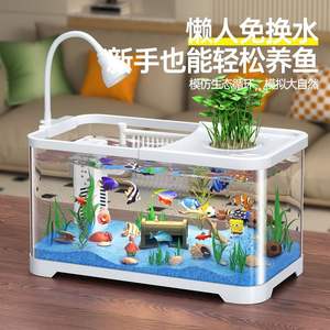 Mini acuario rectangular de 10L con filtro y generador de oxígeno para peces dorados, tanque ecológico de escritorio, fácil de limpiar, diseño de plástico. - Product Image 4