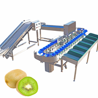 Avocado Aardbei Mango Koffie Fruit Groente Mais Voedsel Kreeft Kaas Speelgoed Ei Vis Milieuvriendelijke Sorteermachine KHLH-6J