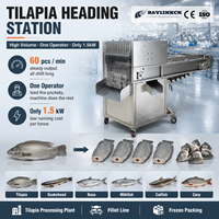 Étêteuse à Poisson Automatique Acier Inox Qualité Alimentaire Tête et Corps Séparés pour Tilapia Basa Poisson-chat Pangasius
