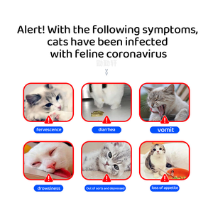 Feline Co-Ronavirus-Antigen-Schnelltest (FCoV Ag) Sicher und zuverlässig Einfache Bedienung Veterinär-Schnelltest-Kits für die Tierklinik - Product Image 3